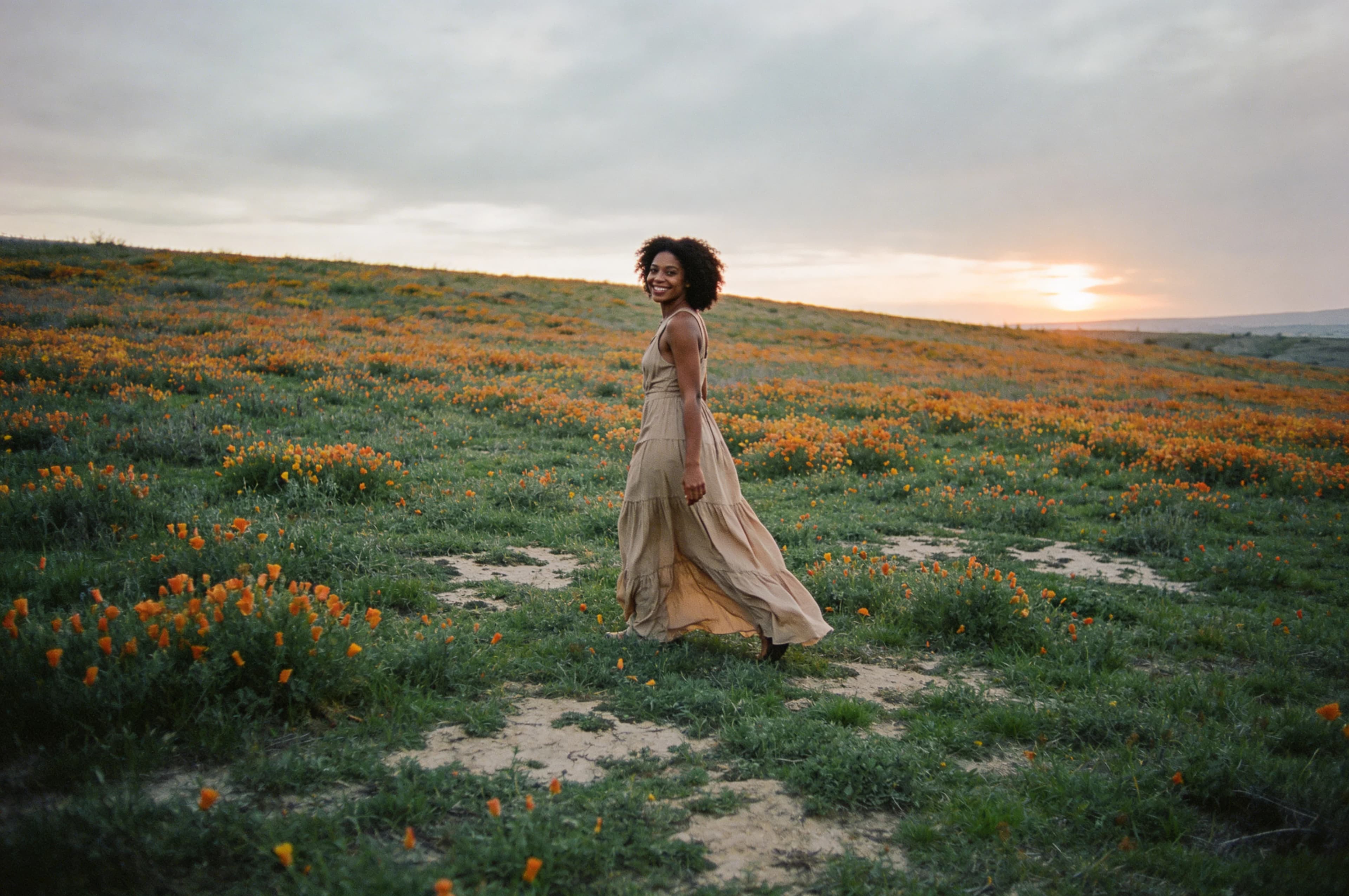 Temperate / Seasonal